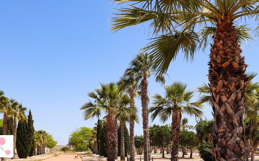 Nouvelle construction - Villa -
San Fulgencio - La Escuera