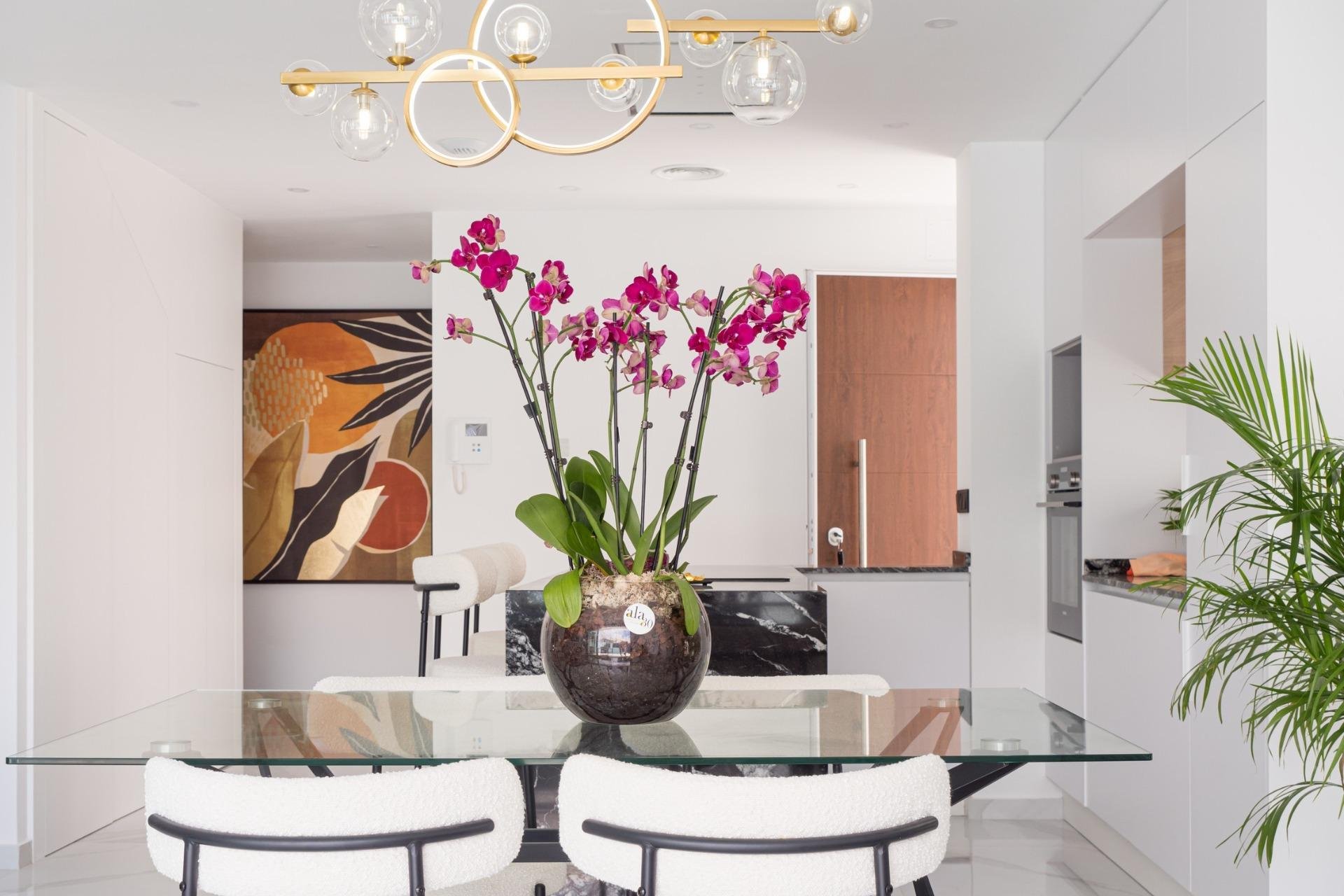 Nouvelle construction - Villa -
San Pedro del Pinatar - San Pedro Del Pinatar