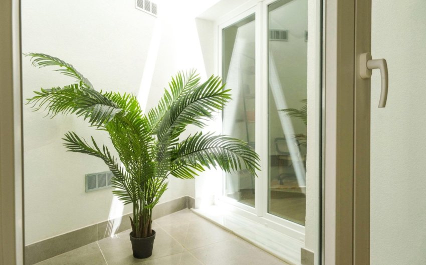 Obra nueva - Apartment -
Málaga - Playa de la Malagueta