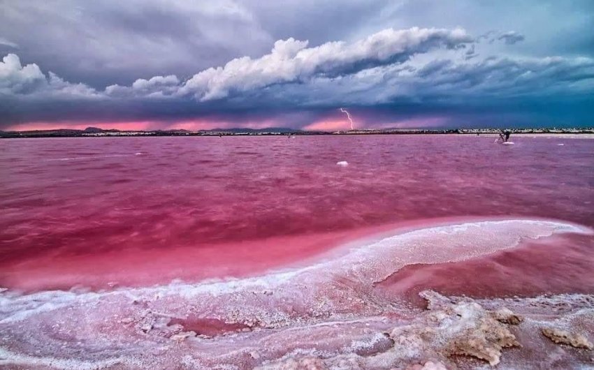 Obra nueva - Apartment -
Torrevieja - Centro