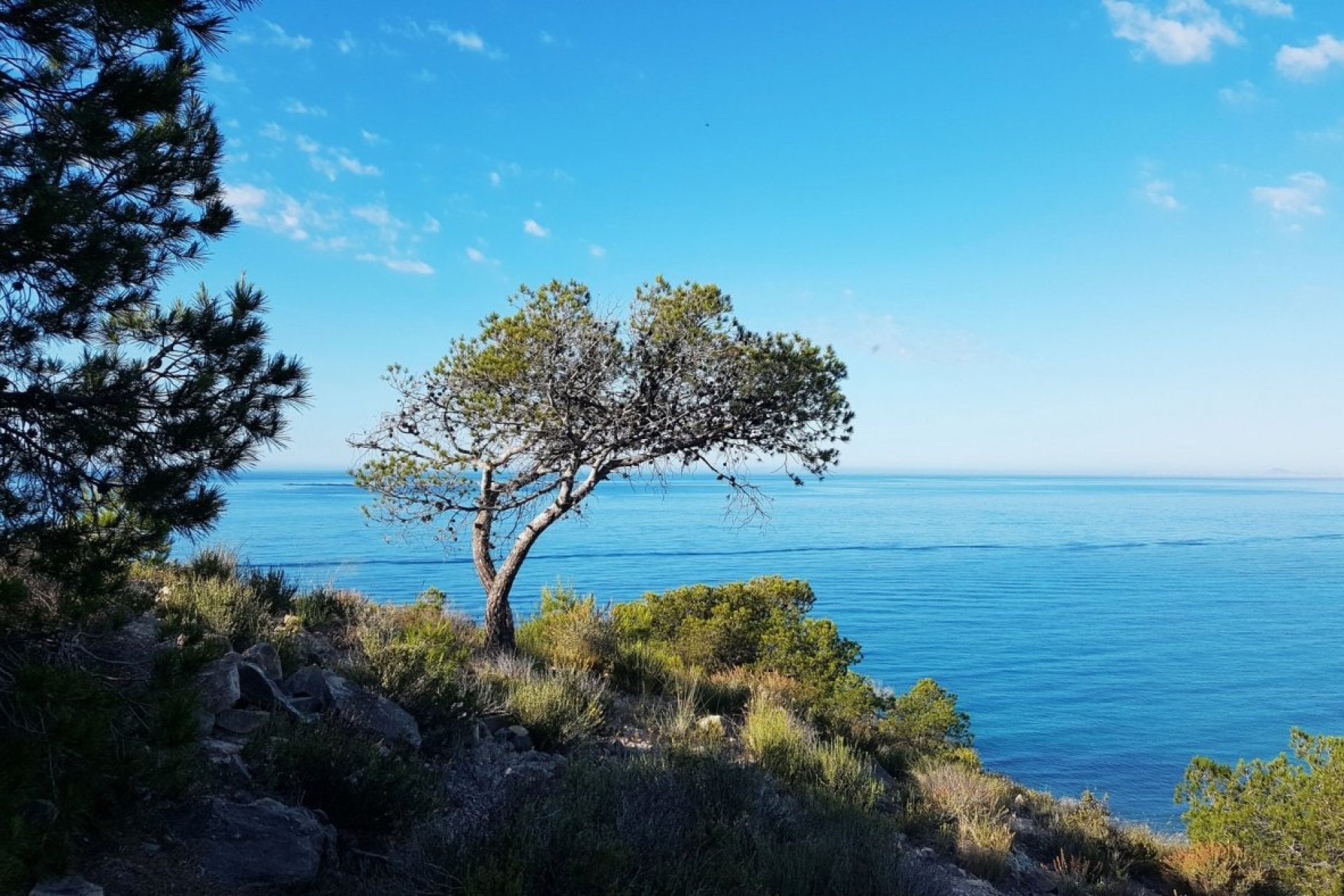 Obra nueva - Apartment -
Villajoyosa - Playa Les Torres