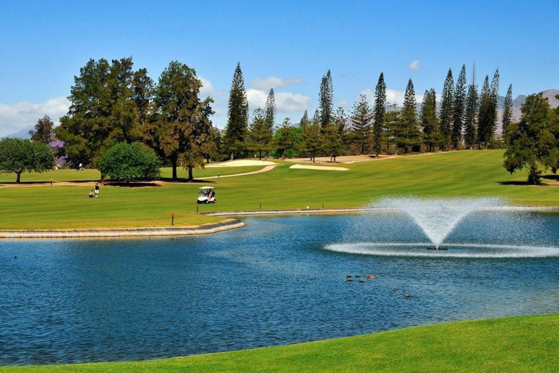 Obra nueva - Ático -
Mijas - La Cala Golf