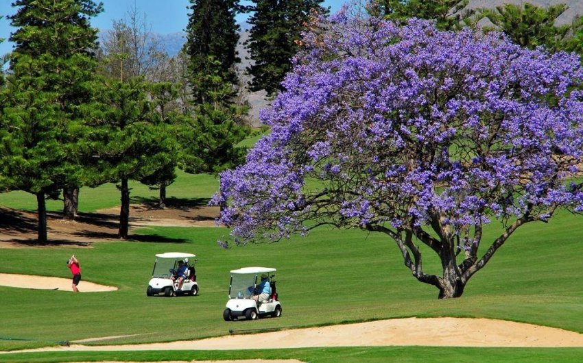 Obra nueva - Ático -
Mijas - La Cala Golf