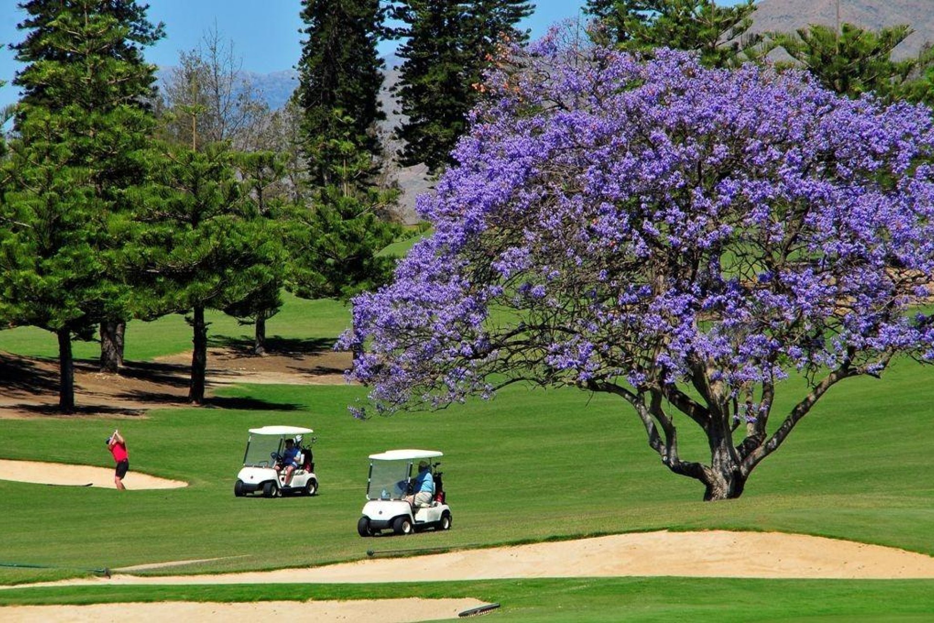 Obra nueva - Ático -
Mijas - La Cala Golf