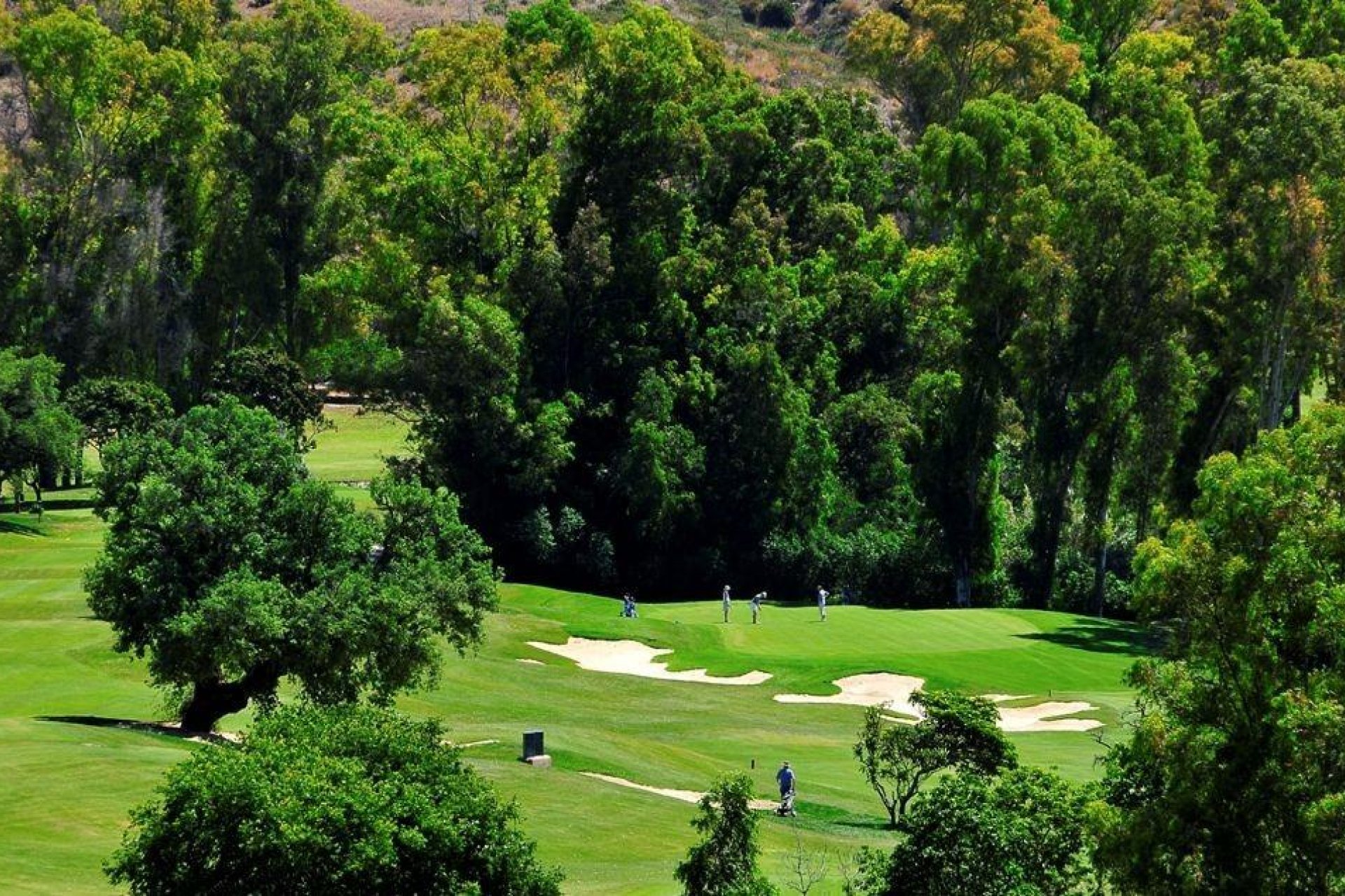 Obra nueva - Ático -
Mijas - La Cala Golf