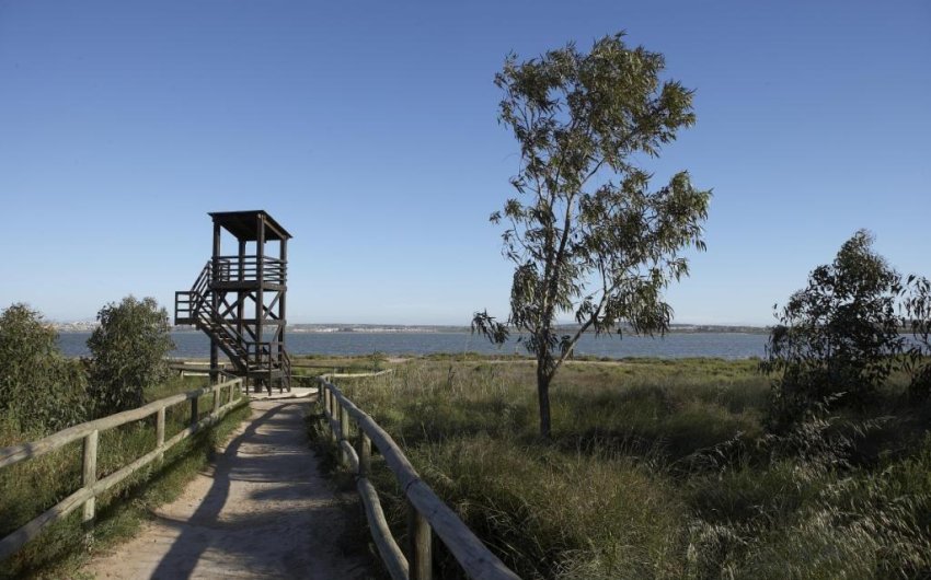 Obra nueva - Ático -
San Miguel de Salinas - Pueblo