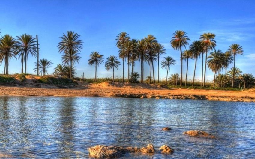 Obra nueva - Ático -
Torrevieja - Playa de El Cura