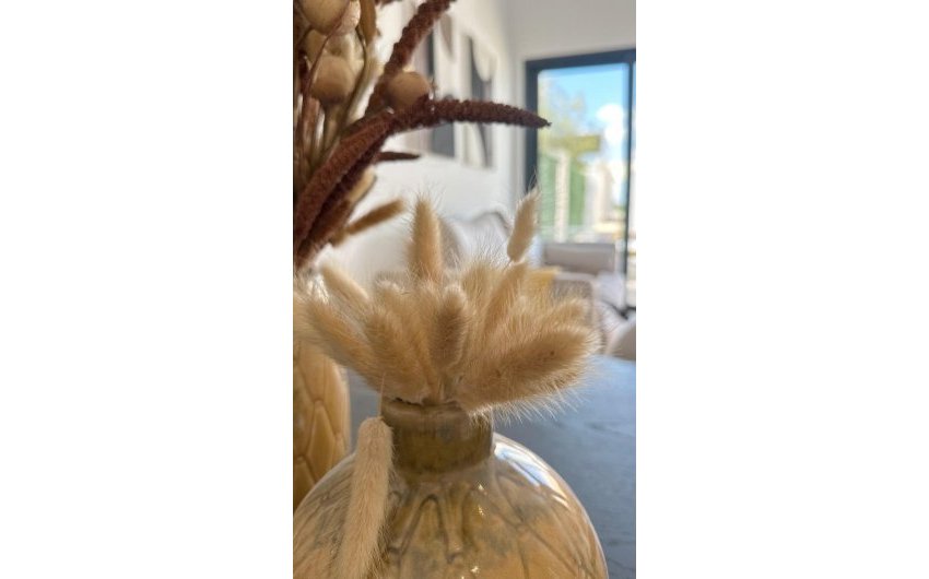 Obra nueva - Bungalow -
San Fulgencio - Pueblo