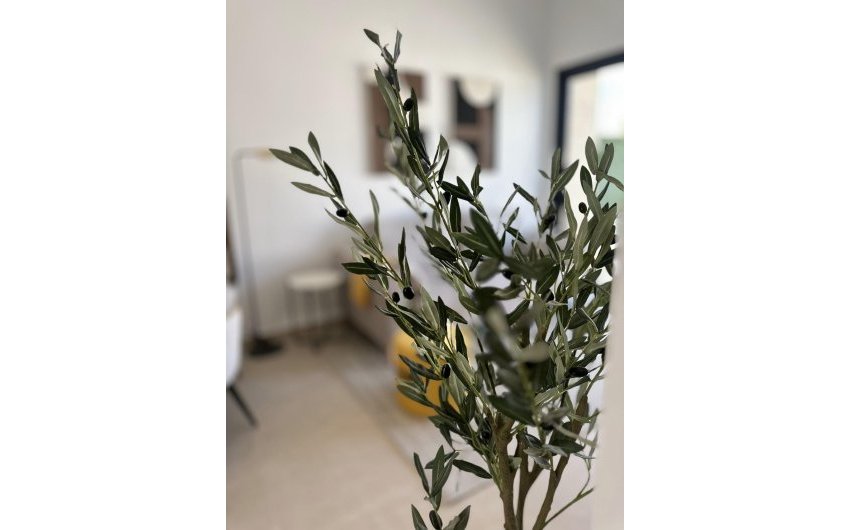 Obra nueva - Bungalow -
San Fulgencio - Pueblo