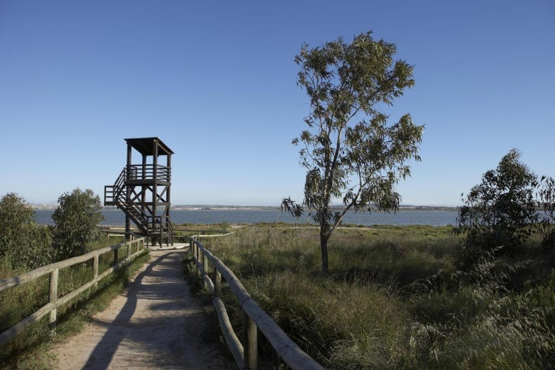 Obra nueva - Bungalow -
Torrevieja - Altos del Sol