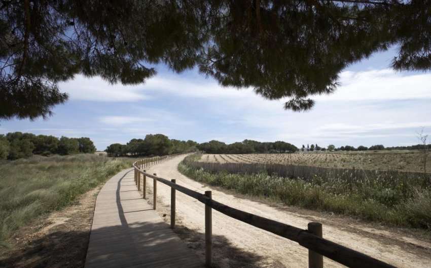 Obra nueva - Bungalow -
Torrevieja - Altos del Sol