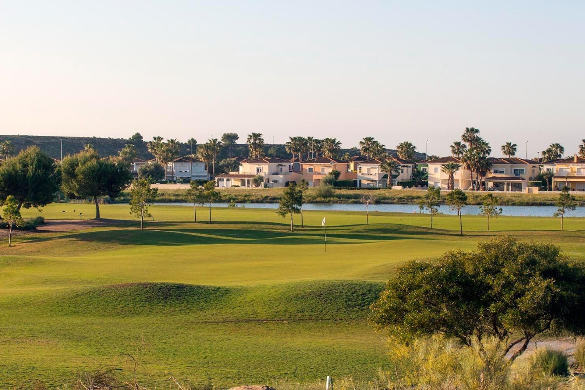 Obra nueva - Town House -
Baños y Mendigo - Altaona Golf