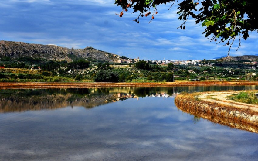 Obra nueva - Villa -
Calasparra - Coto Riñales