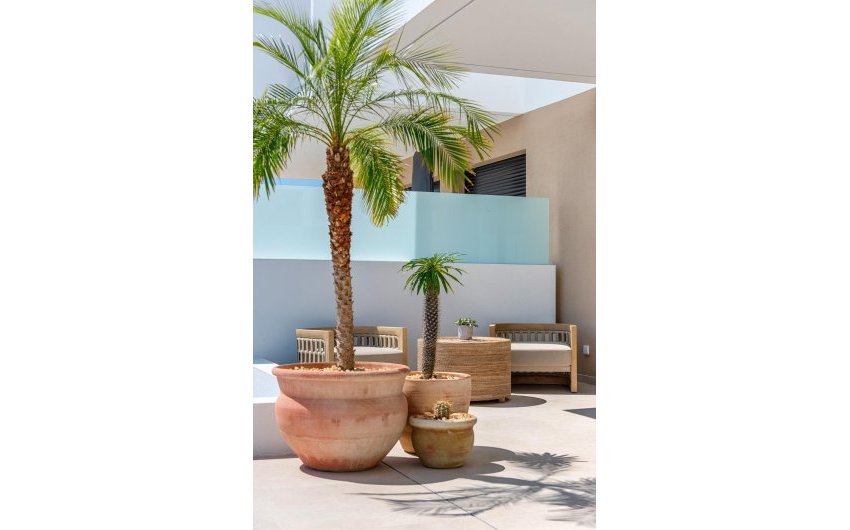 Obra nueva - Villa -
Dolores - Sector 3