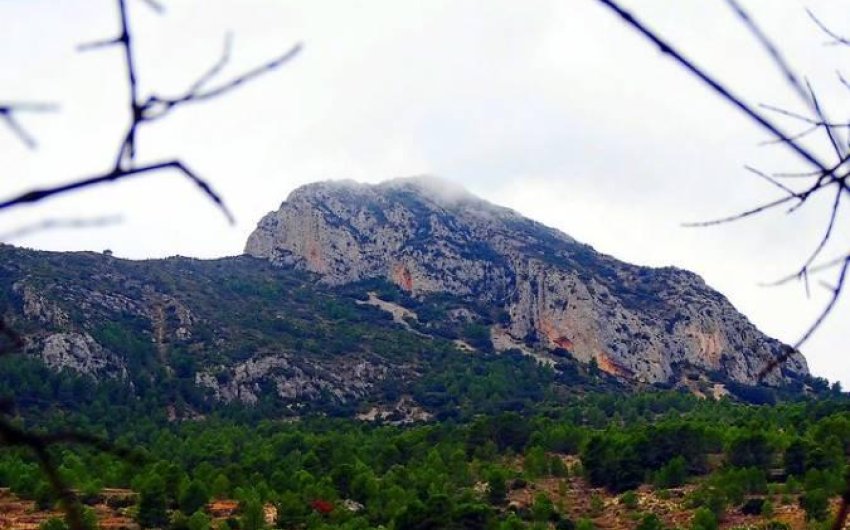 Obra nueva - Villa -
La Romana - Batistes