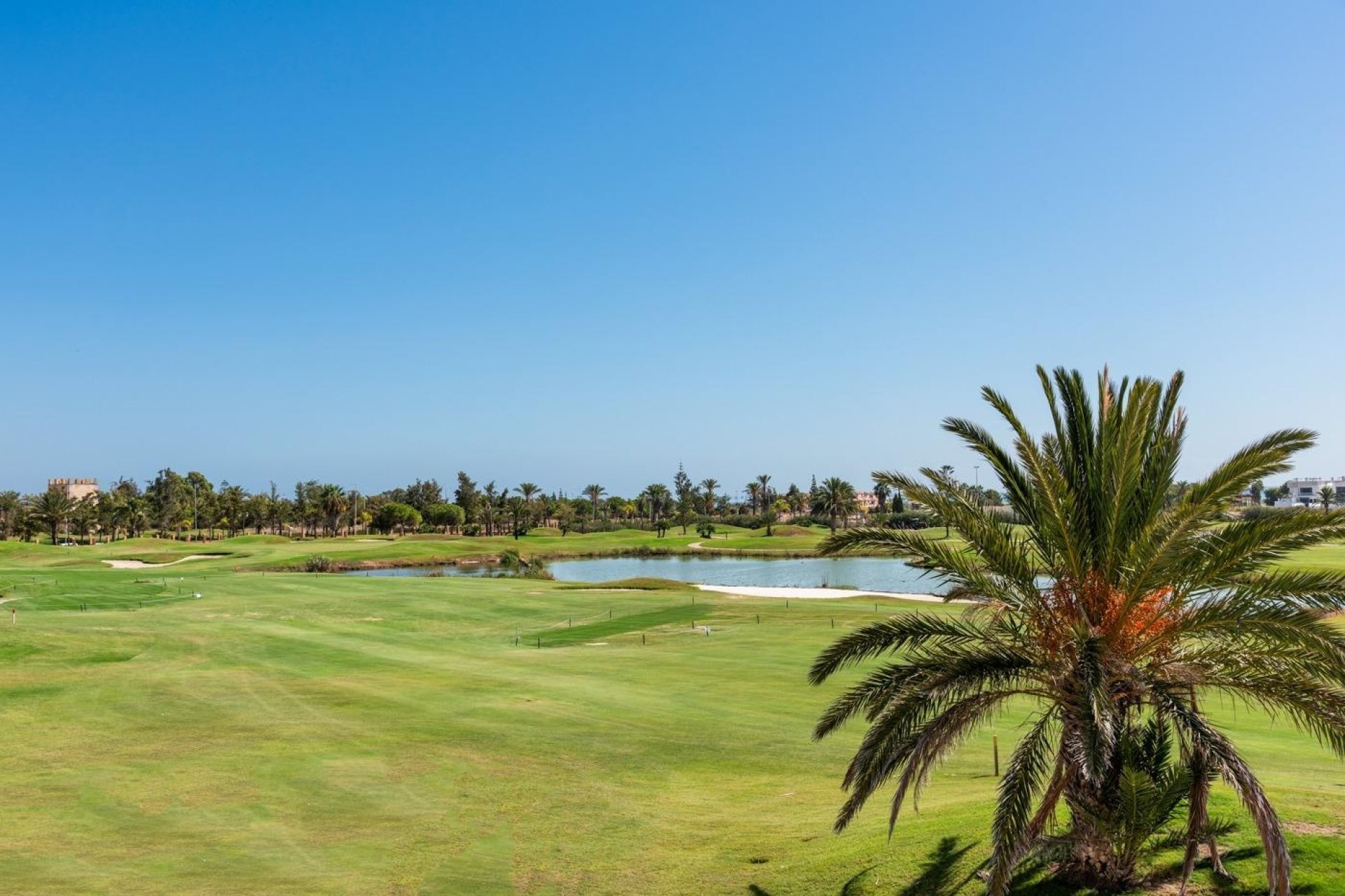 Obra nueva - Villa -
Los Alcazares - Serena Golf