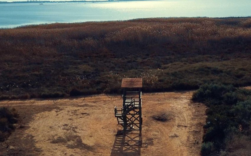 Obra nueva - Villa -
Los Montesinos - La Herrada