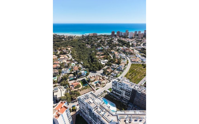 Obra nueva - Villa -
Orihuela Costa - Dehesa de campoamor