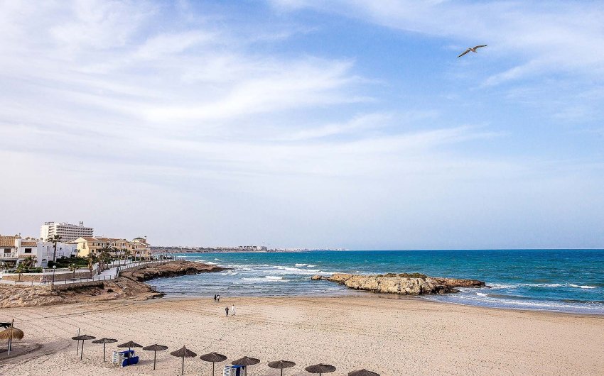 Obra nueva - Villa -
Orihuela Costa - La Zenia