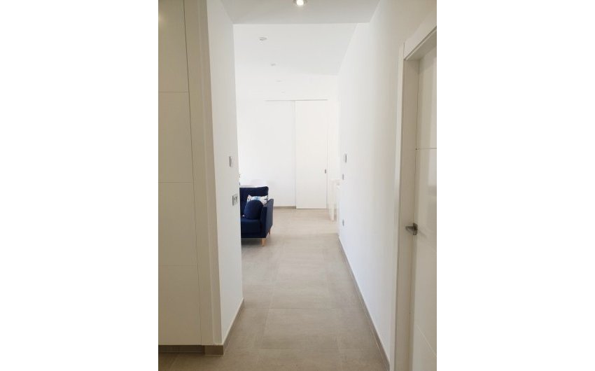 Obra nueva - Villa -
Pilar de la Horadada - Pinar de Campoverde