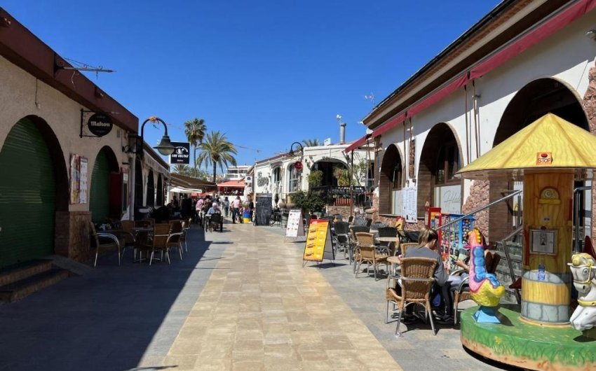 Obra nueva - Villa -
Pilar de la Horadada - Riomar