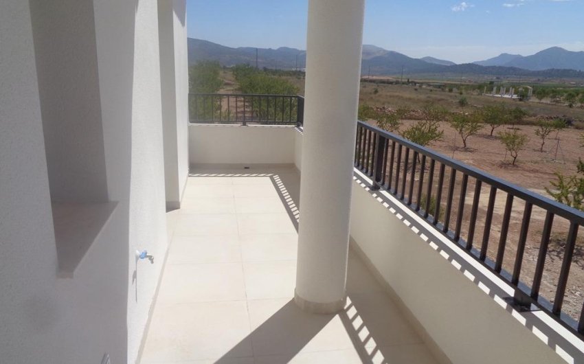 Obra nueva - Villa -
Pinoso - Camino Del Prado