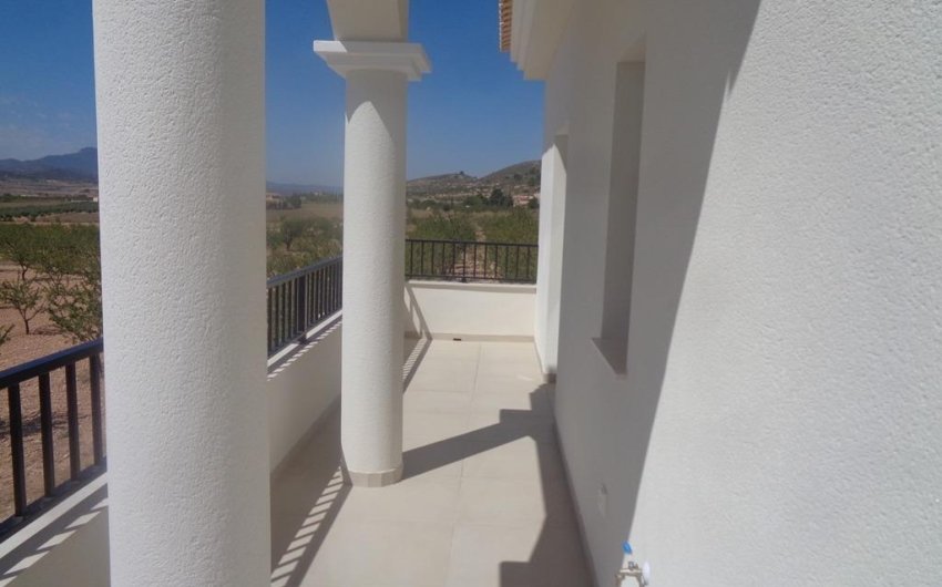 Obra nueva - Villa -
Pinoso - Camino Del Prado