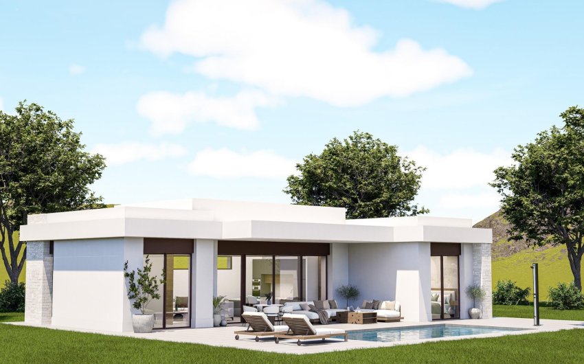 Obra nueva - Villa -
Pinoso - Lel
