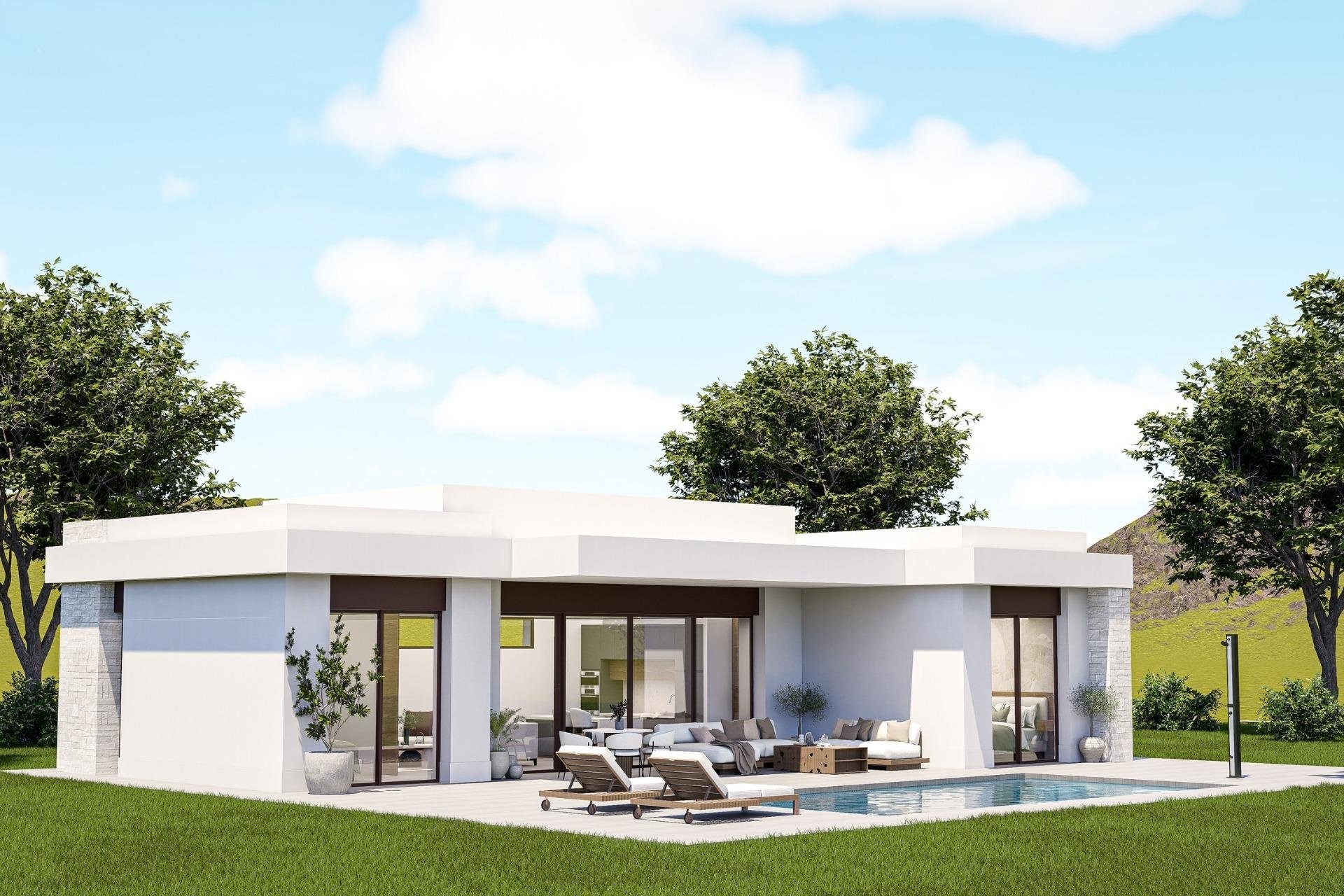 Obra nueva - Villa -
Pinoso - Lel