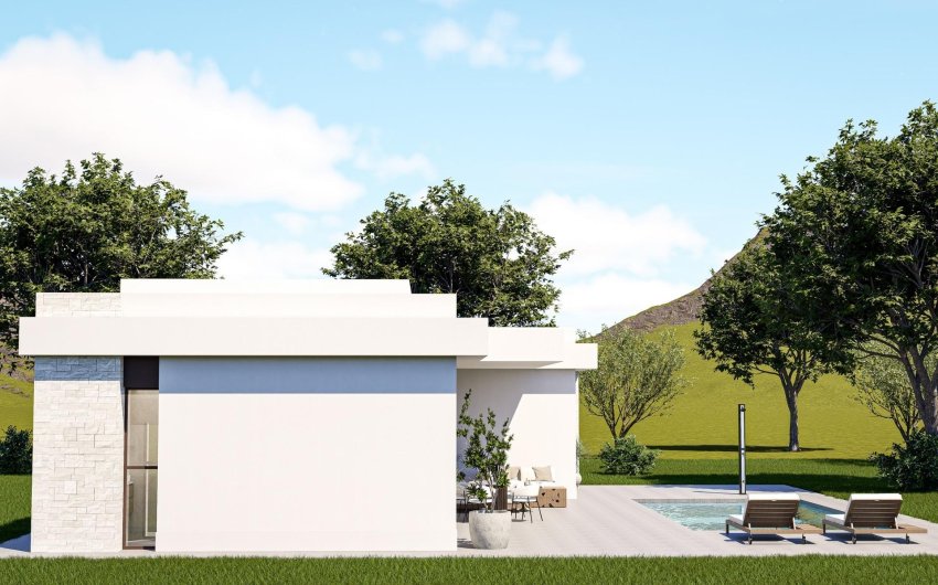 Obra nueva - Villa -
Pinoso - Lel