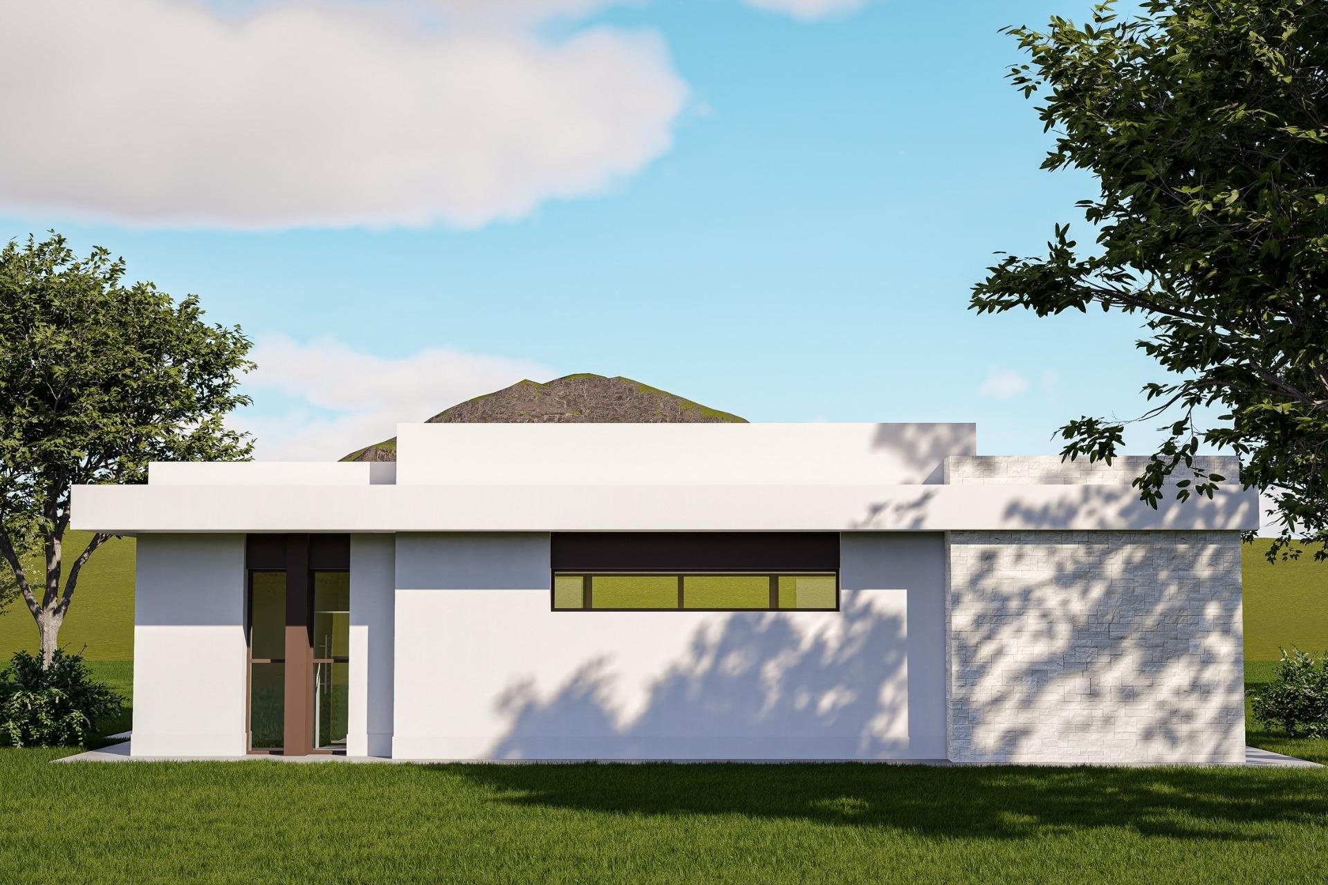 Obra nueva - Villa -
Pinoso - Lel