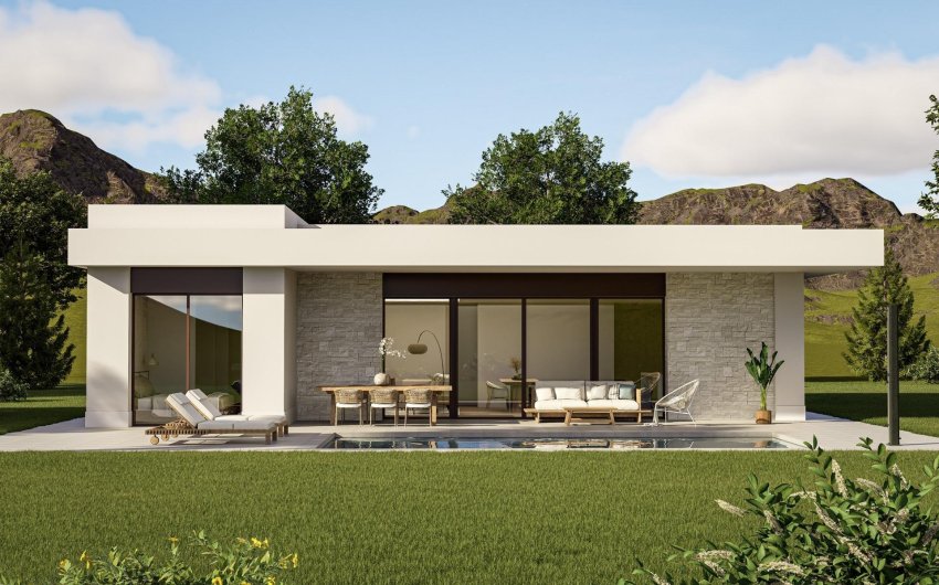 Obra nueva - Villa -
Pinoso - Lel