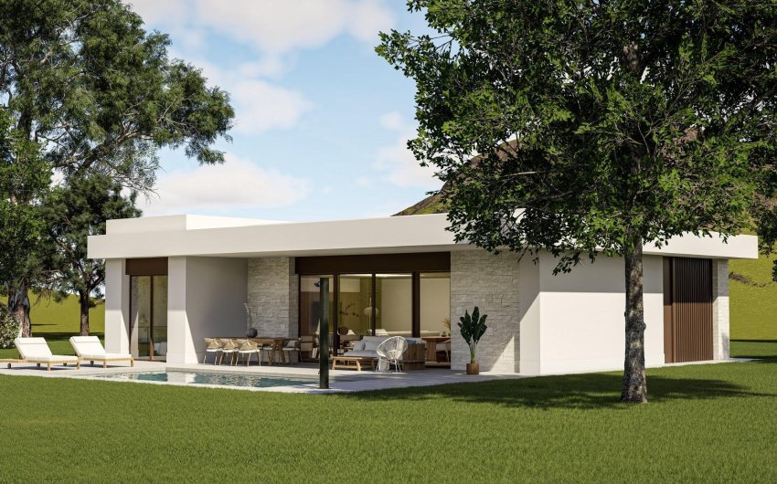 Obra nueva - Villa -
Pinoso - Lel