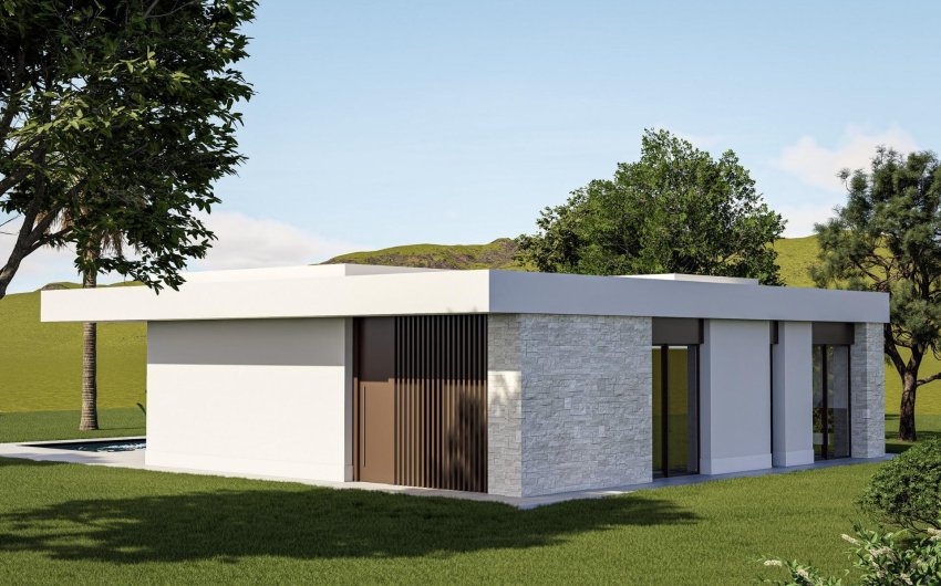 Obra nueva - Villa -
Pinoso - Lel