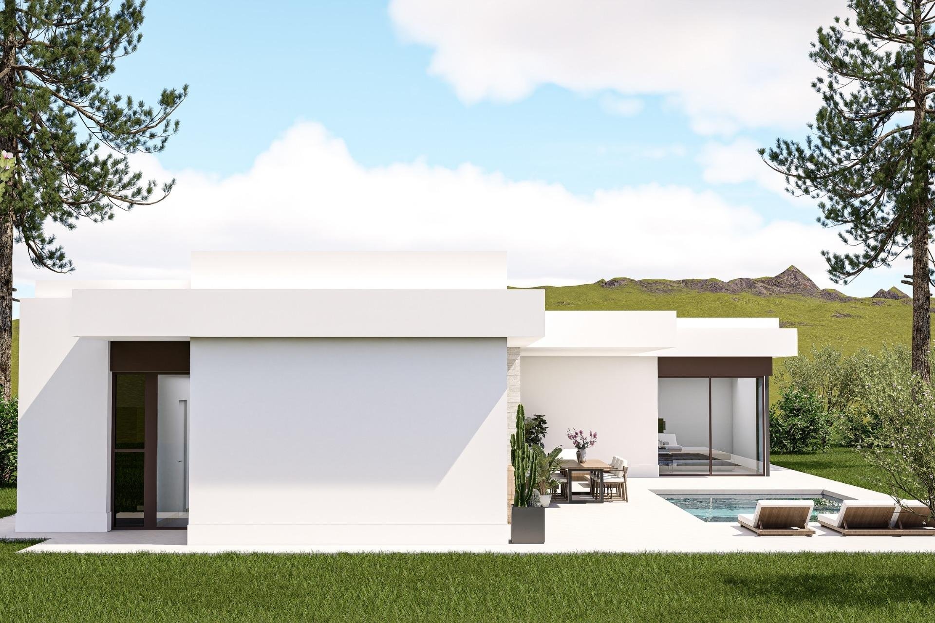 Obra nueva - Villa -
Pinoso - Lel