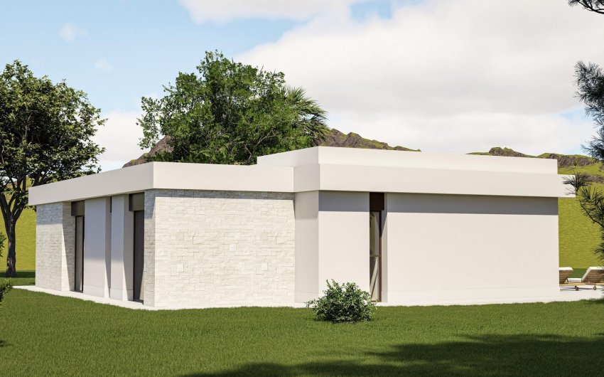 Obra nueva - Villa -
Pinoso - Lel