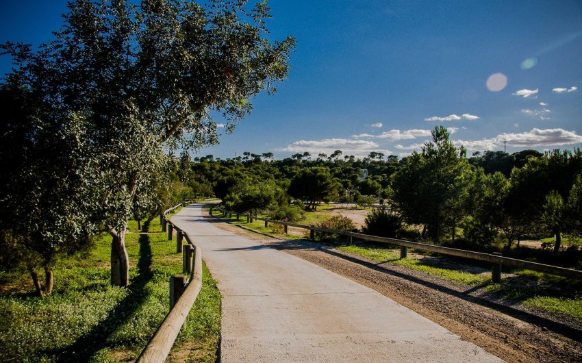 Obra nueva - Villa -
Rojales - Doña Pepa