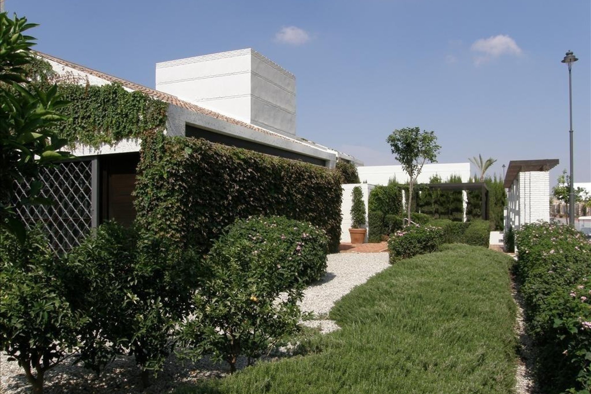 Obra nueva - Villa -
Sucina - Peraleja Golf