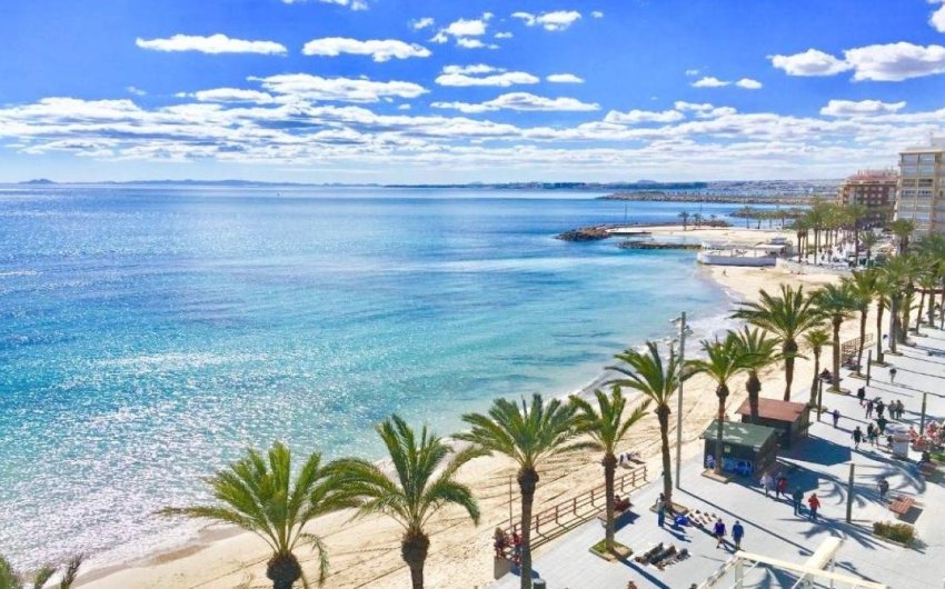 Obra nueva - Villa -
Torrevieja - Lago Jardín II
