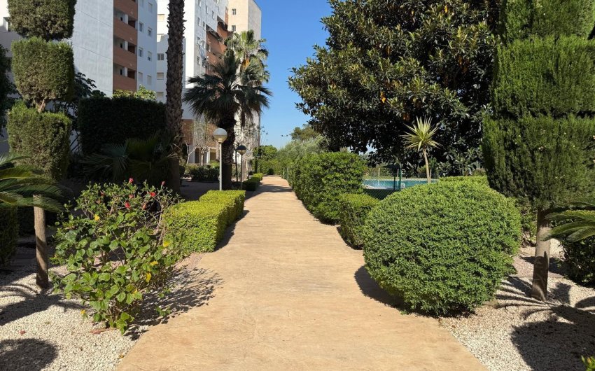 Resale - Apartamento -
Guardamar del Segura - Avenida del Puerto