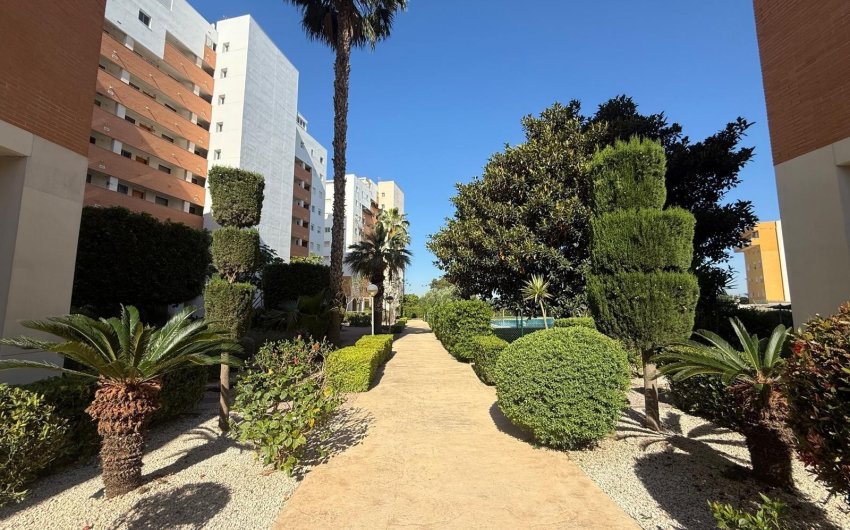 Resale - Apartamento -
Guardamar del Segura - Avenida del Puerto