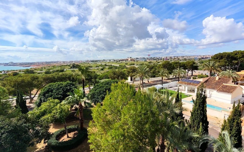 Resale - Apartamento -
Torrevieja - Centro