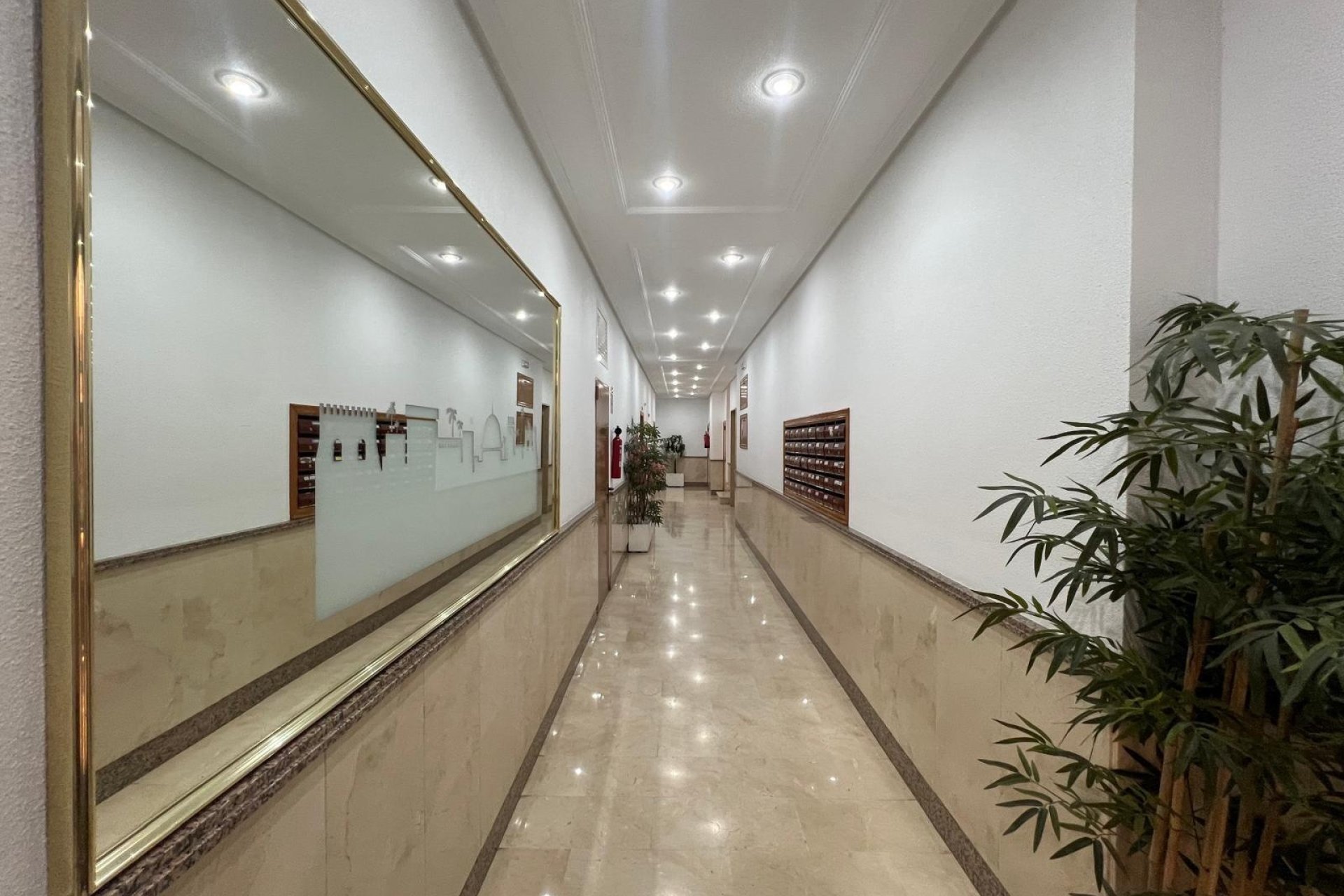 Resale - Apartamento -
Torrevieja - Centro