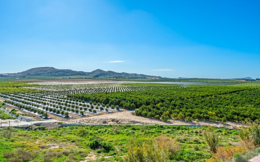 Resale - Apartment -
Algorfa - Inland