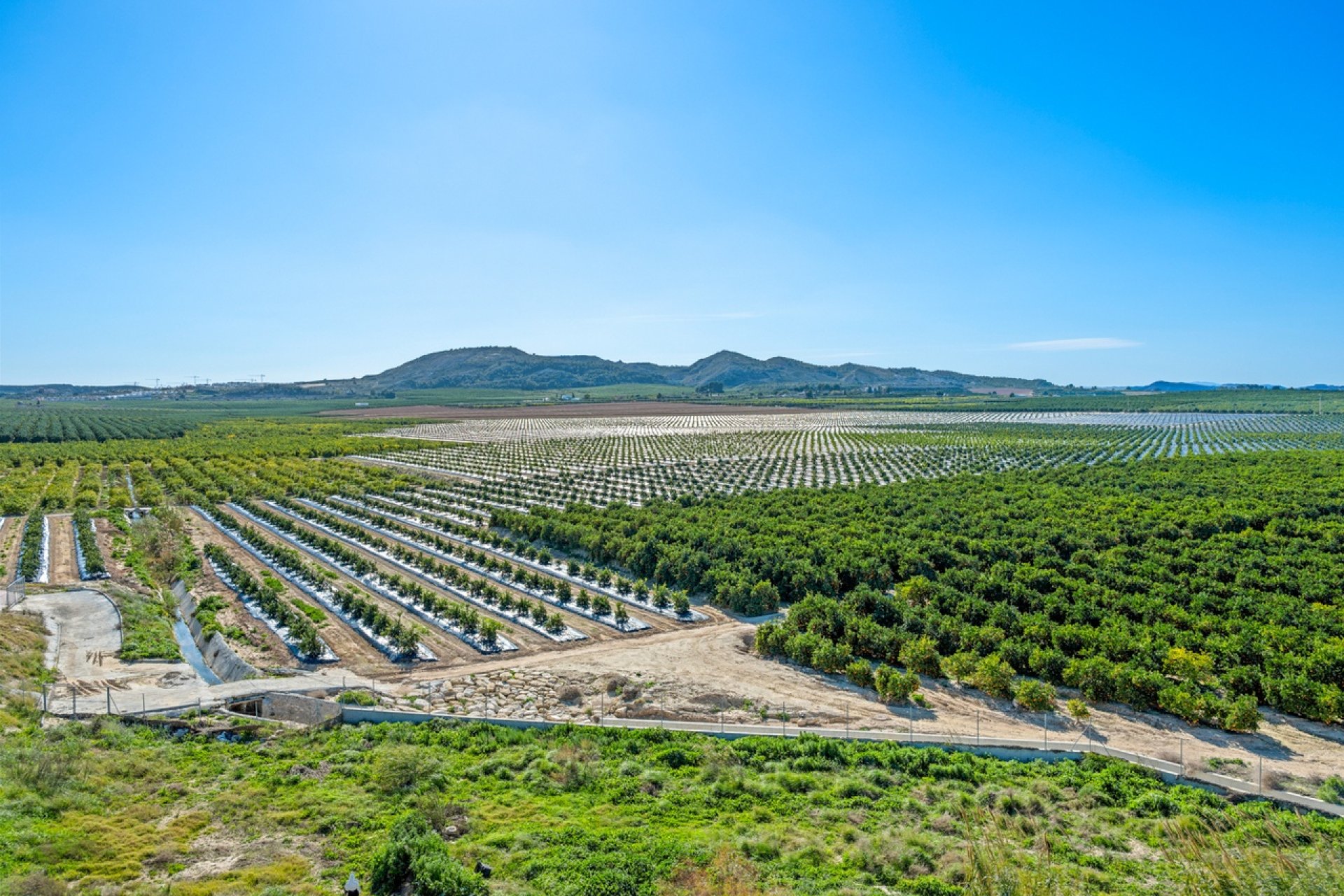 Resale - Apartment -
Algorfa - Inland