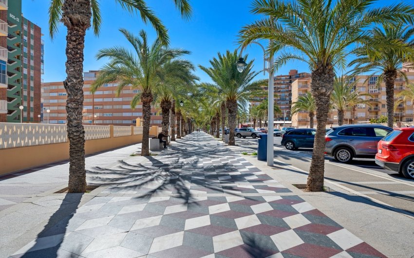 Resale - Apartment -
Arenales del Sol - Segunda linea playa