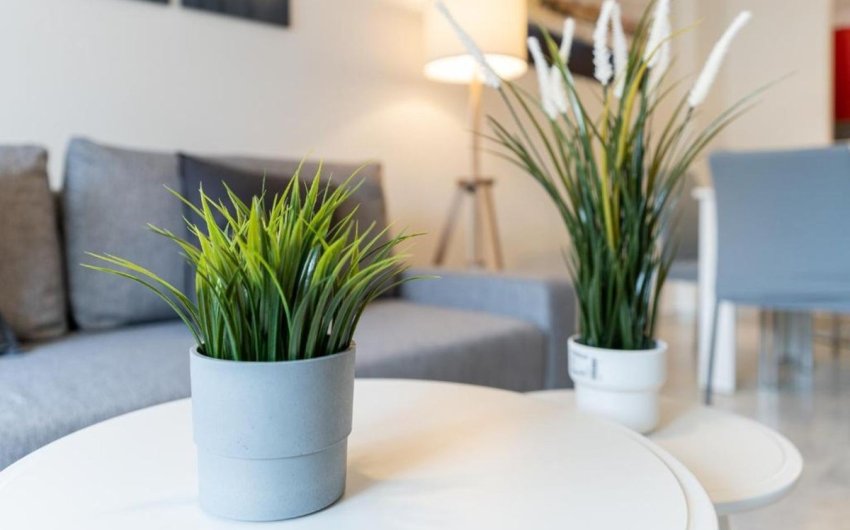 Resale - Apartment -
Benalmádena - Costa del Sol