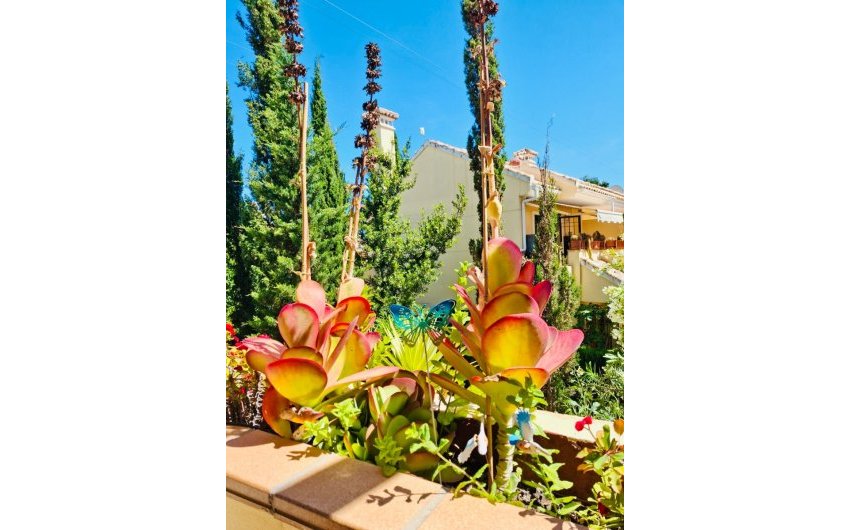 Resale - Apartment Flat -
Orihuela Costa - Lomas De Campoamor-las Ramblas