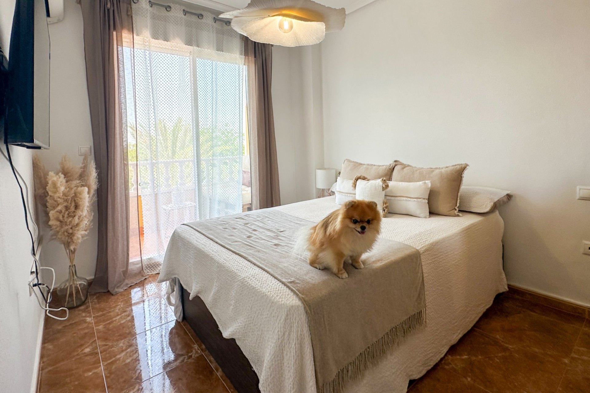 Resale - Apartment -
Guardamar del Segura - Costa Blanca