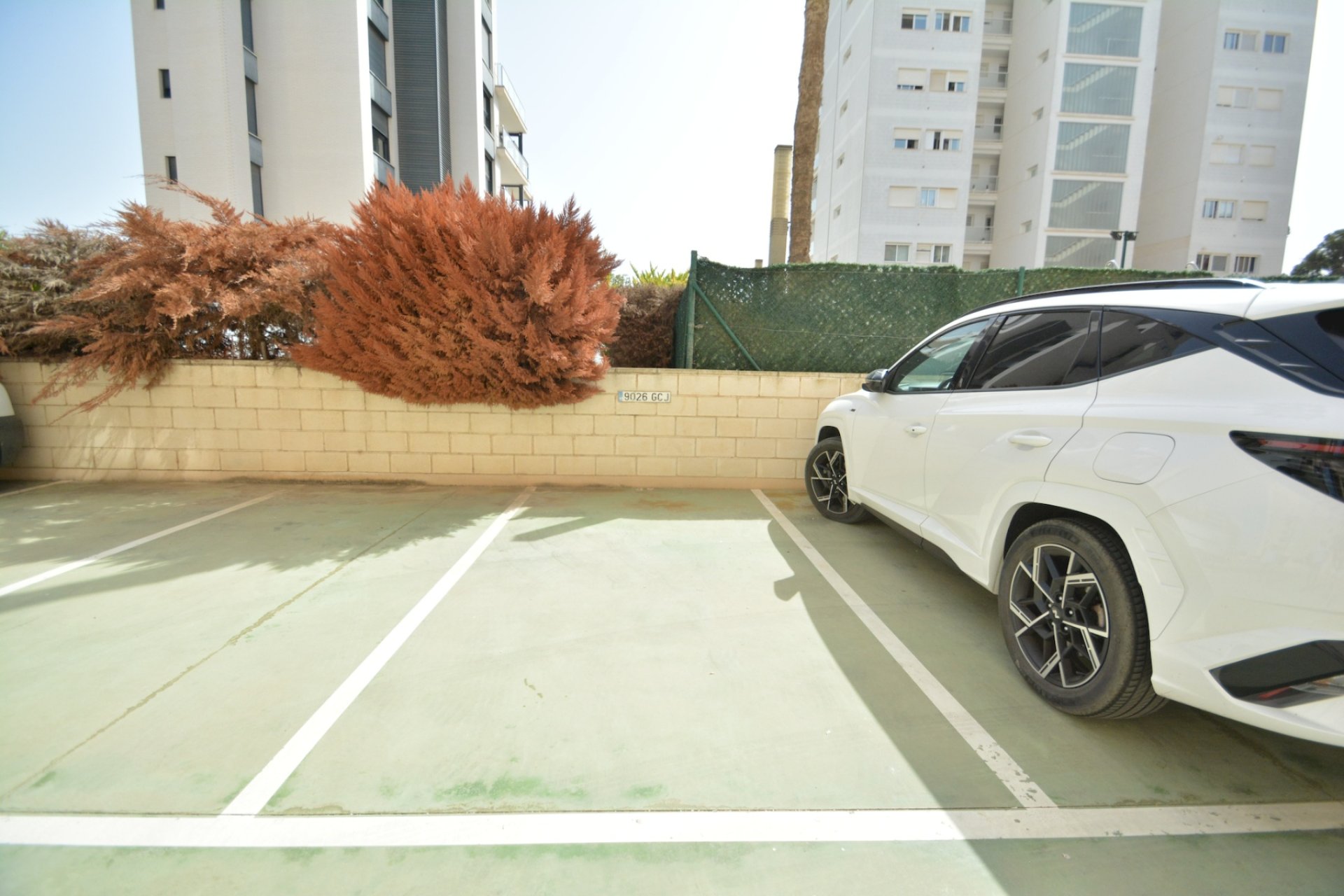 Resale - Apartment -
Guardamar del Segura - Costa Blanca